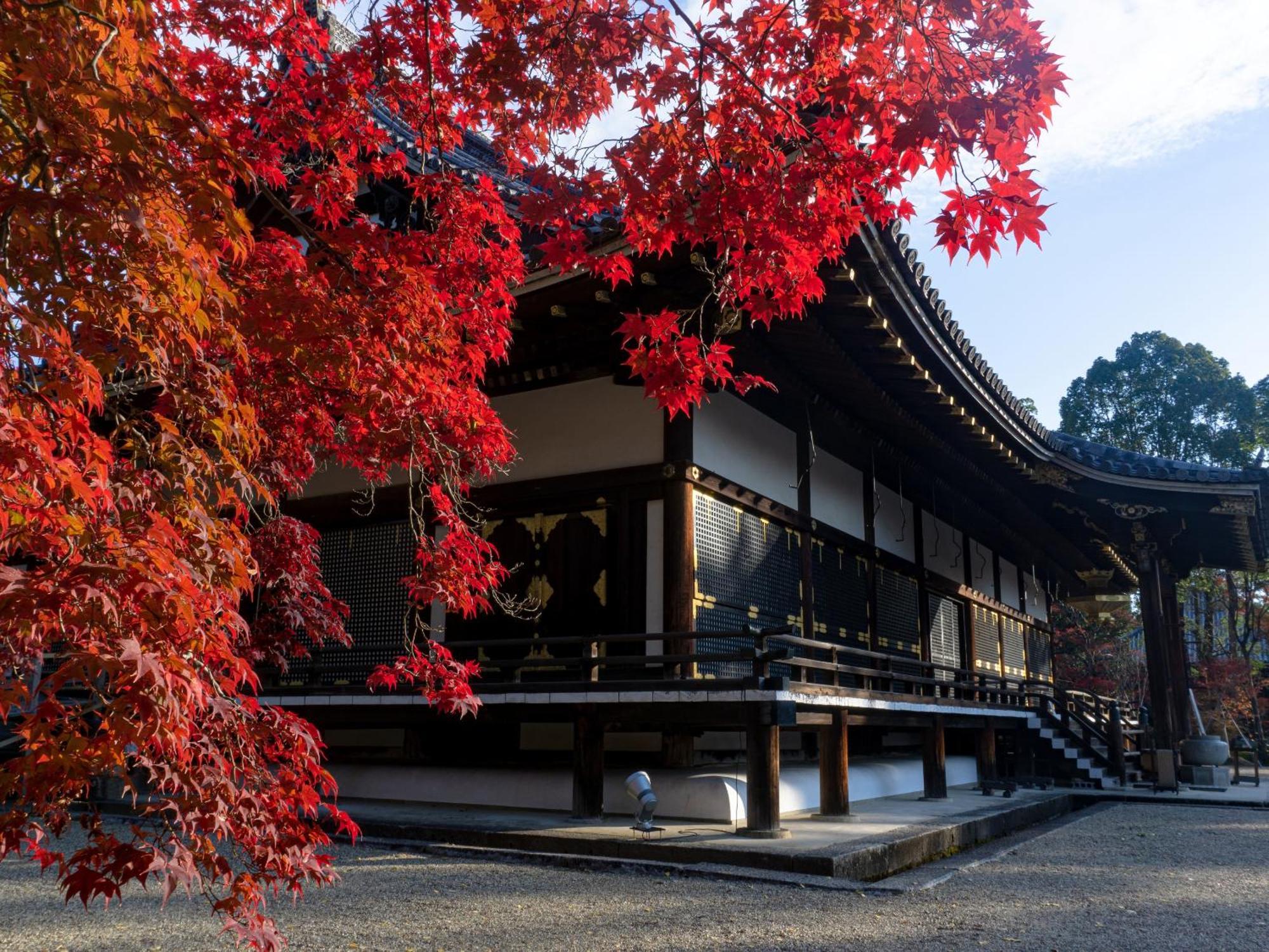 The Blossom Kyoto Ngoại thất bức ảnh