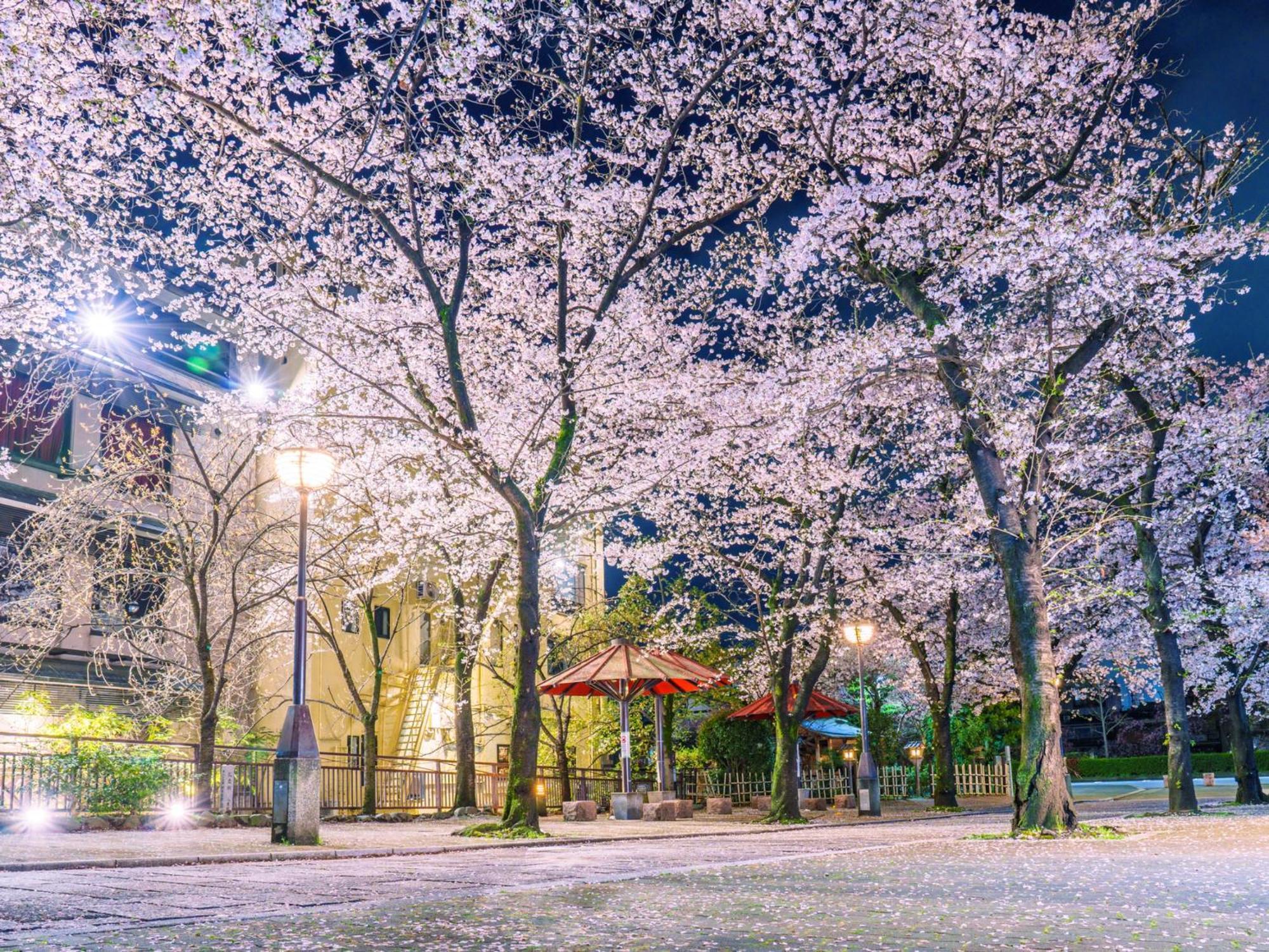 The Blossom Kyoto Ngoại thất bức ảnh